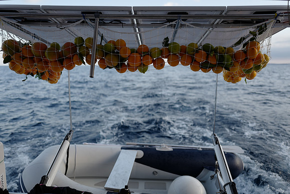 No scurvy on this boat