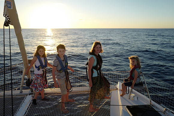 Dolphin watching